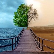 Today’s Changing Landscape