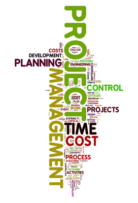 project manager job desciption11 Project Recovery