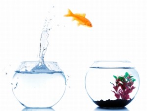 successful change the five motivators of successful change 300x228 Clinical Transformation